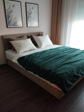 Studio City day, Jagodina